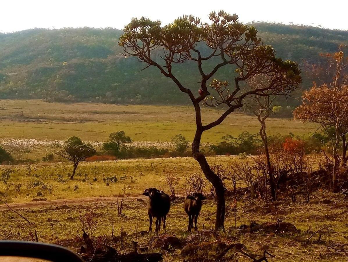 Alto Paraíso de Goiás Villa Agape - Chapada Dos Veadeiros מראה חיצוני תמונה