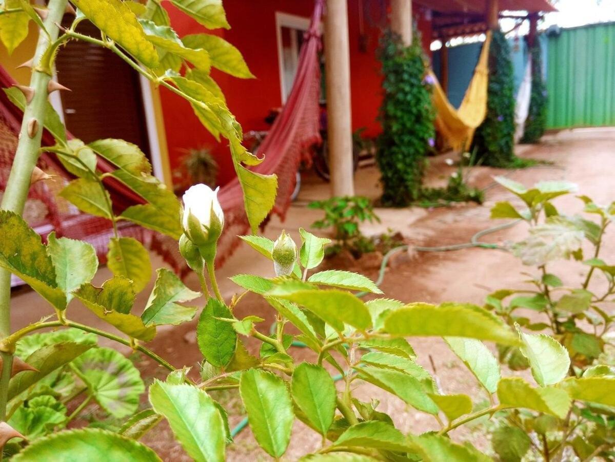 Alto Paraíso de Goiás Villa Agape - Chapada Dos Veadeiros מראה חיצוני תמונה