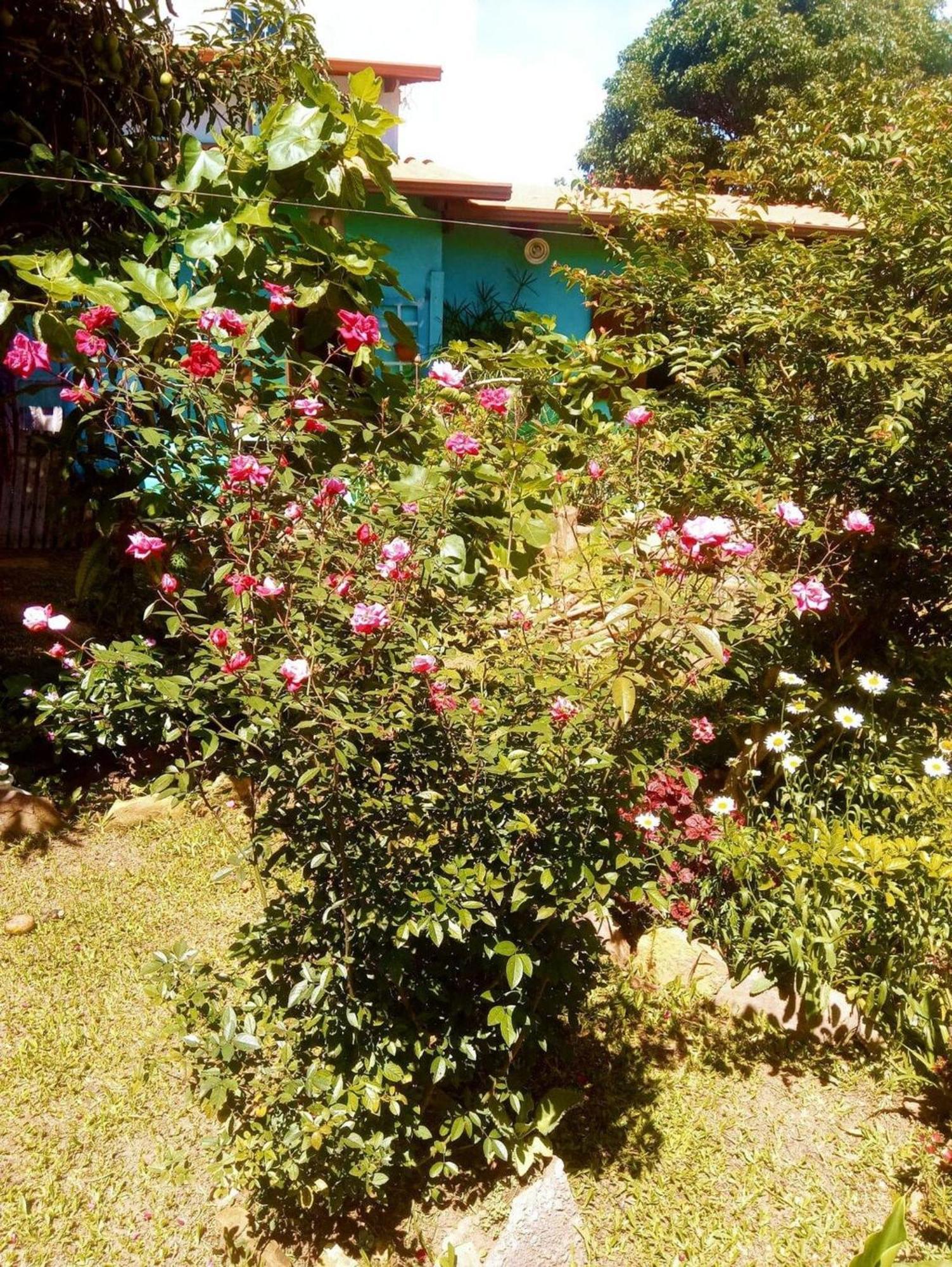 Alto Paraíso de Goiás Villa Agape - Chapada Dos Veadeiros מראה חיצוני תמונה